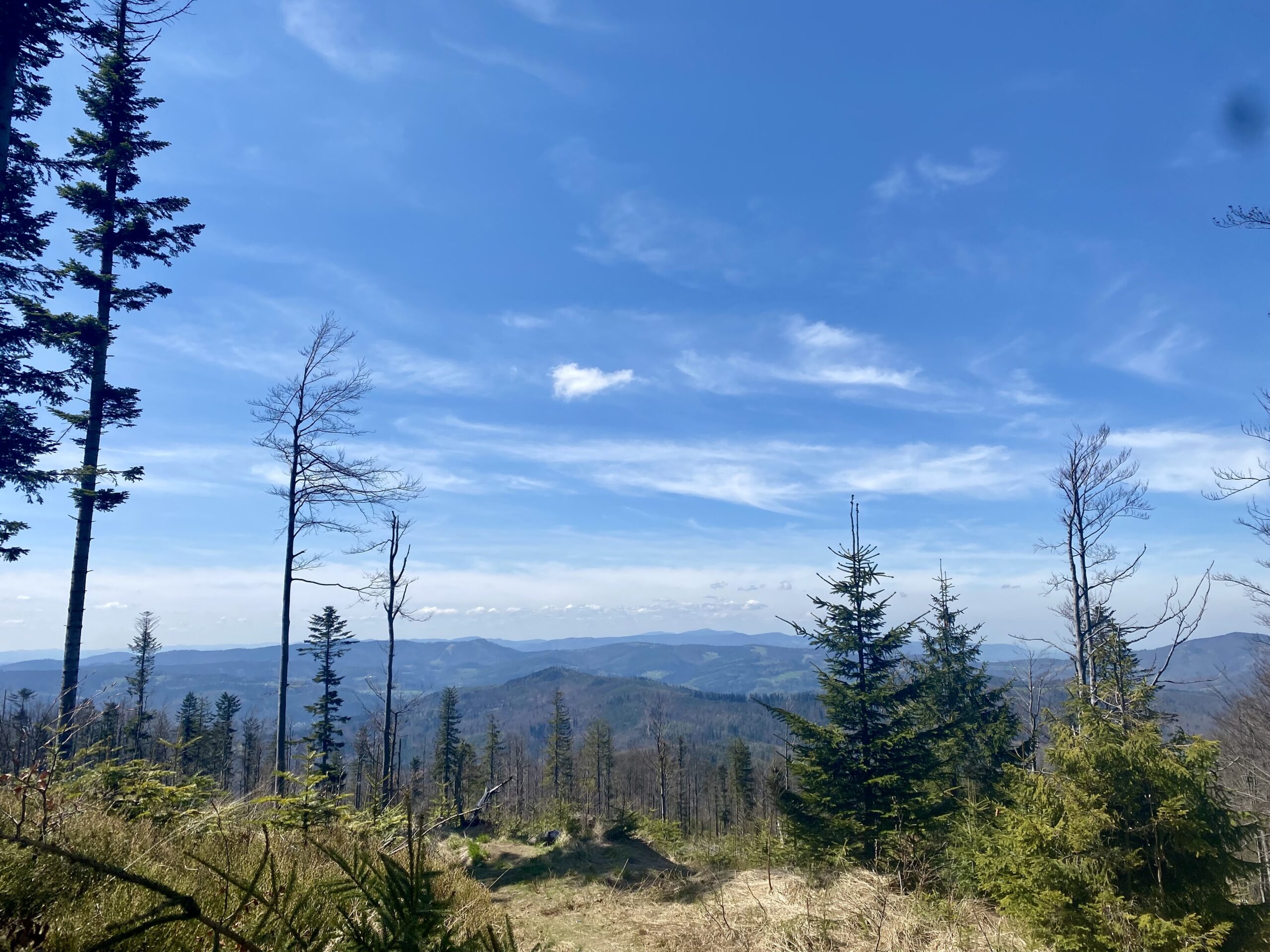 Read more about the article Wycieczki piesze w Beskidach Śląskich – plan na 3 dniowy weekend ze Swobody