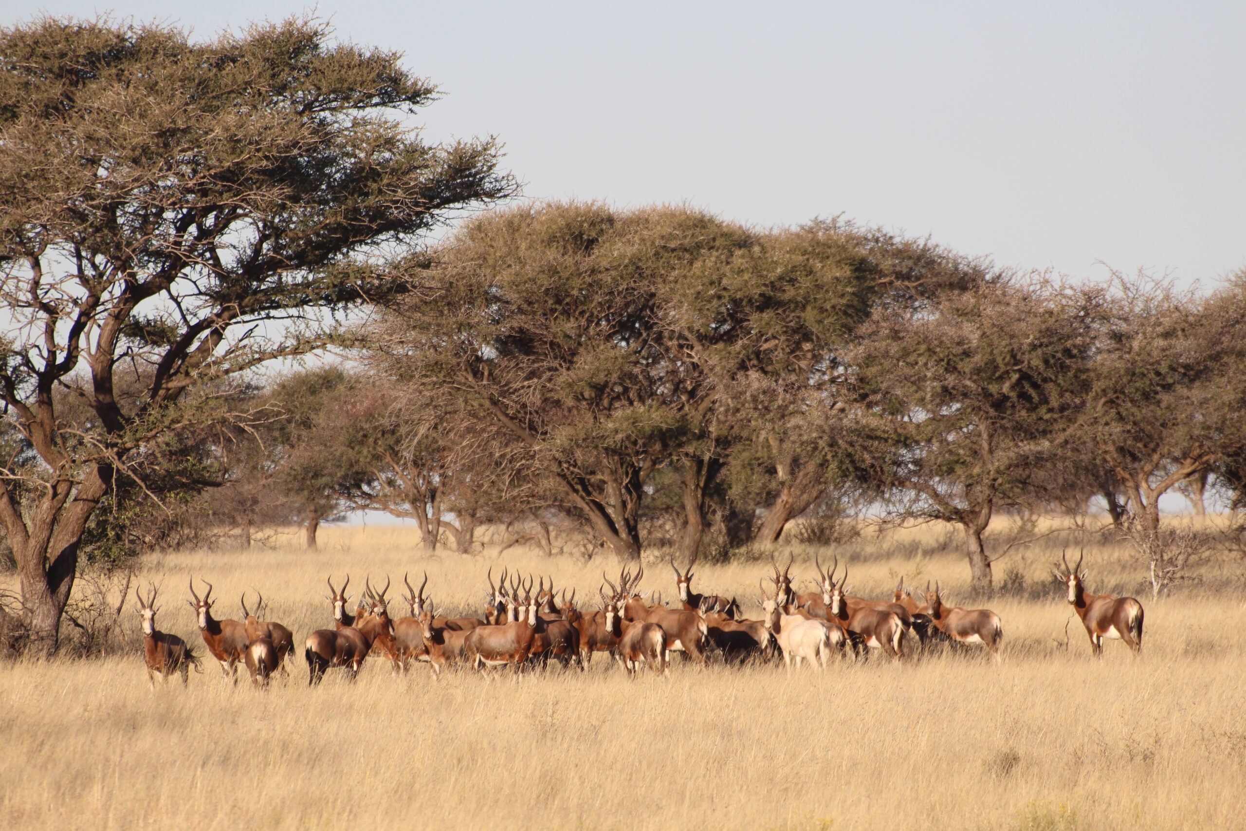 Read more about the article Moja pierwsza podróż solo – wolontariat w RPA