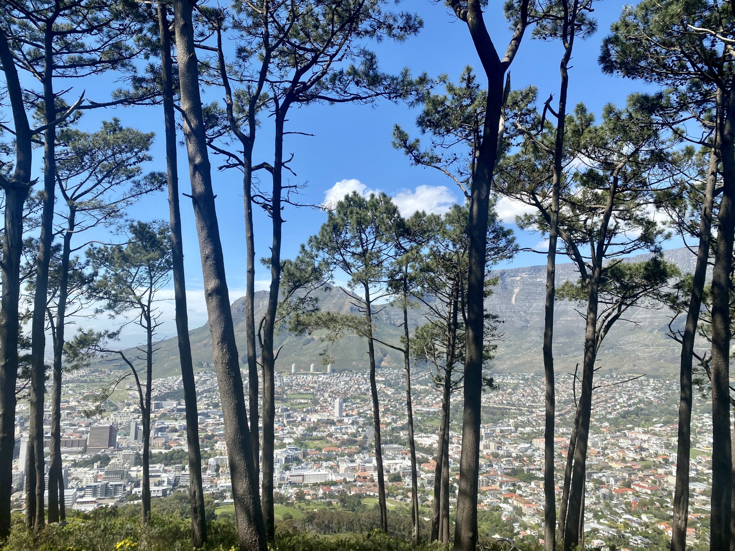 Read more about the article To jak z tym Kapsztadem – bezpieczny czy niekoniecznie?